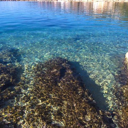 Apartmani Malis Ražanj Εξωτερικό φωτογραφία